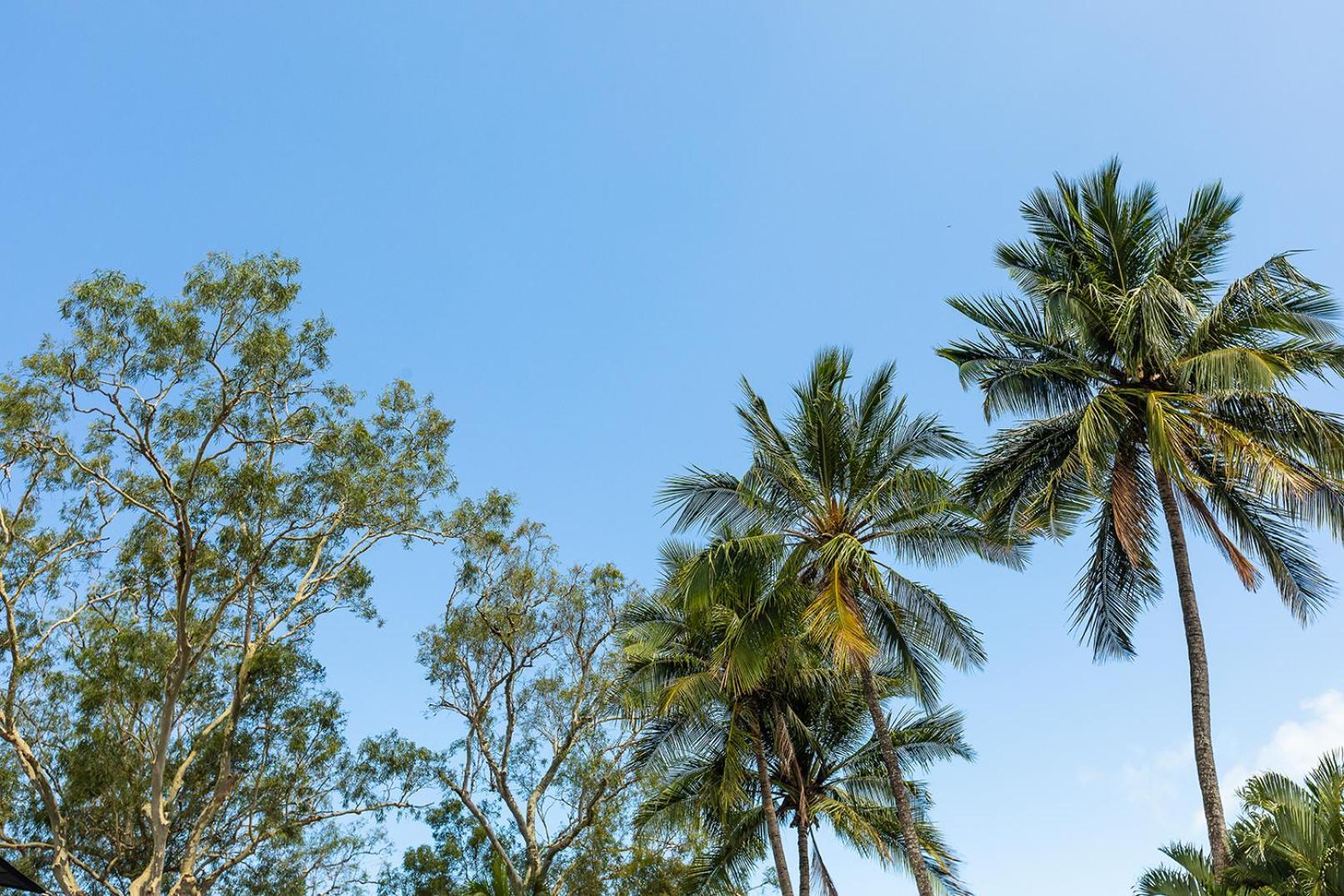 Kipara Tropical Rainforest Retreat Airlie Beach Buitenkant foto